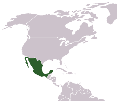 Mexiko auf der Landkarte