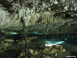 Cenote in einer Hhle in Tulum