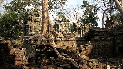 Blick auf Angkor Wat