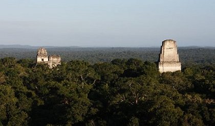 Blick von Tempel IV auf die Pyramiden, wie sie über das Dschungeldach ragen